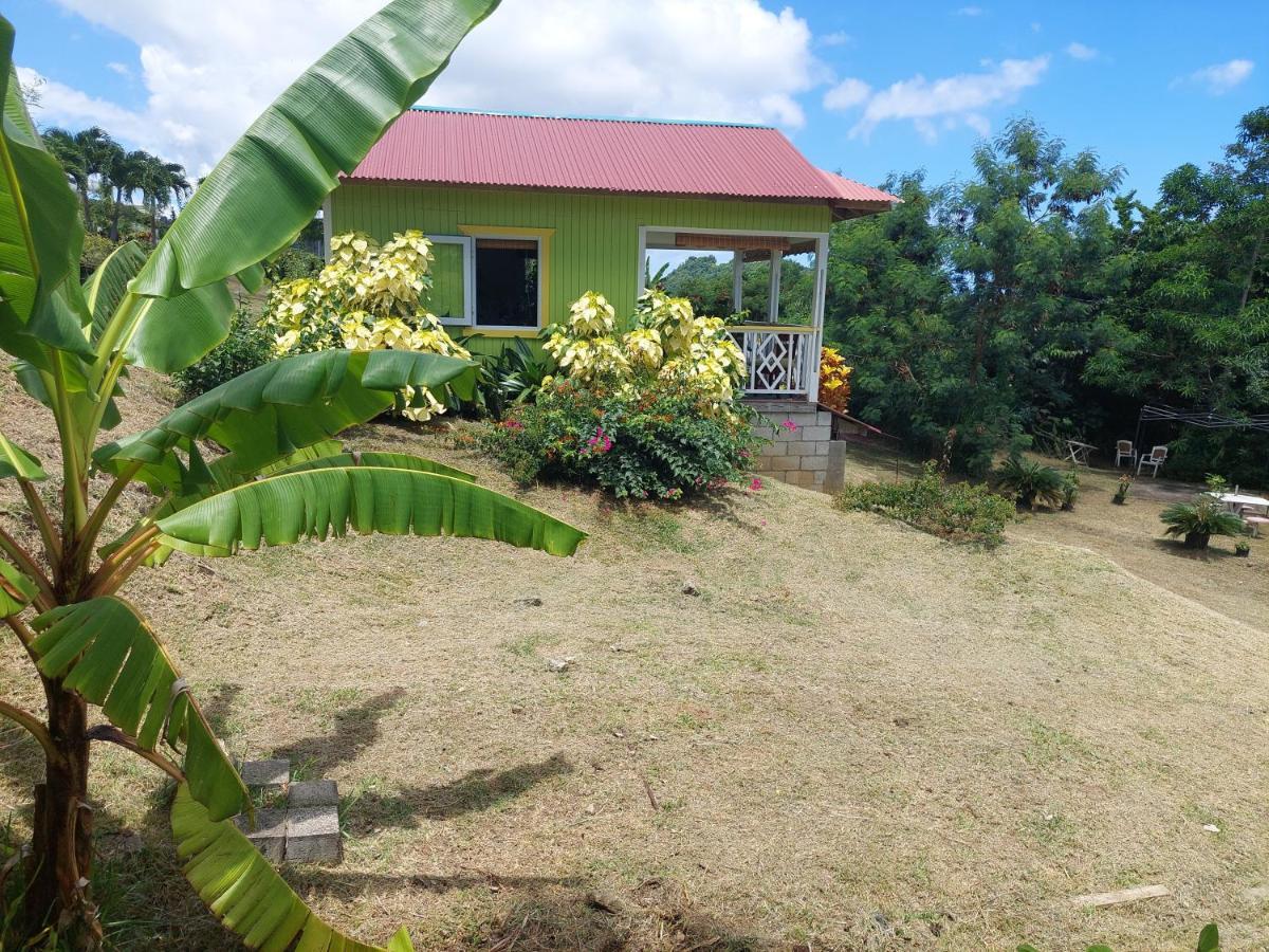 Diamond View Cottages Roseau Buitenkant foto