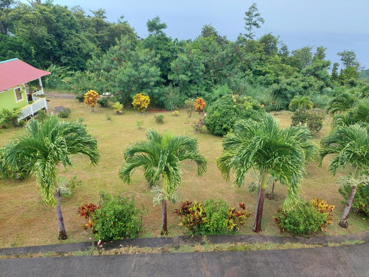 Diamond View Cottages Roseau Buitenkant foto