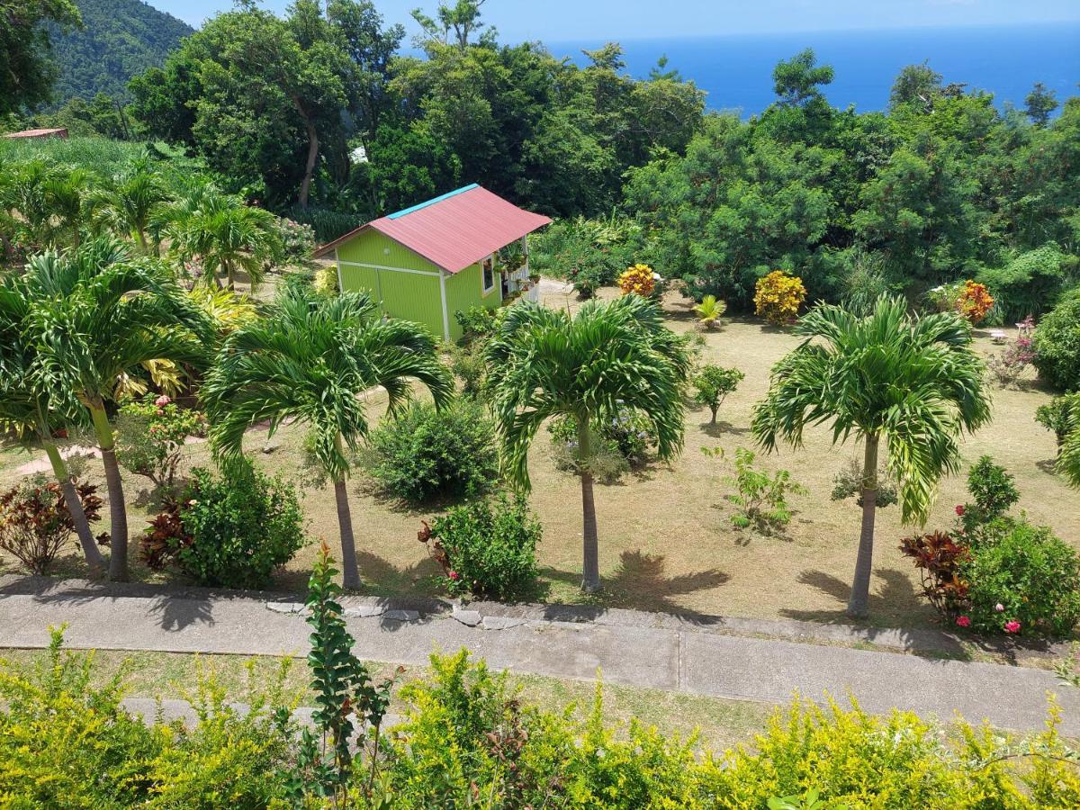 Diamond View Cottages Roseau Buitenkant foto