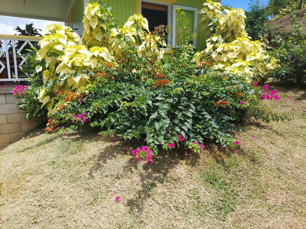 Diamond View Cottages Roseau Buitenkant foto