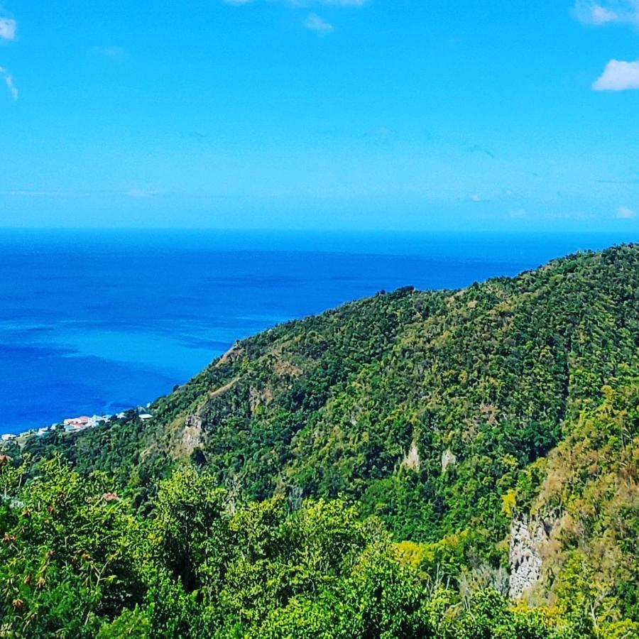 Diamond View Cottages Roseau Buitenkant foto