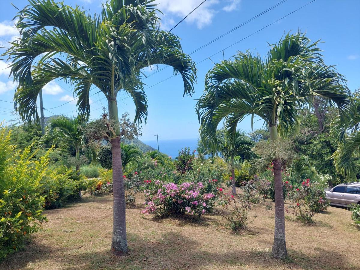 Diamond View Cottages Roseau Buitenkant foto