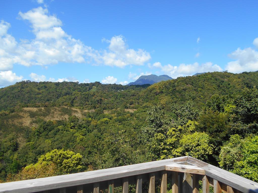 Diamond View Cottages Roseau Buitenkant foto