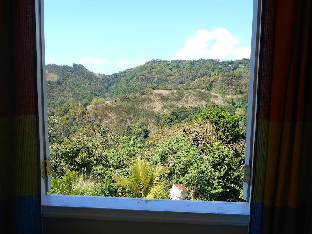 Diamond View Cottages Roseau Buitenkant foto