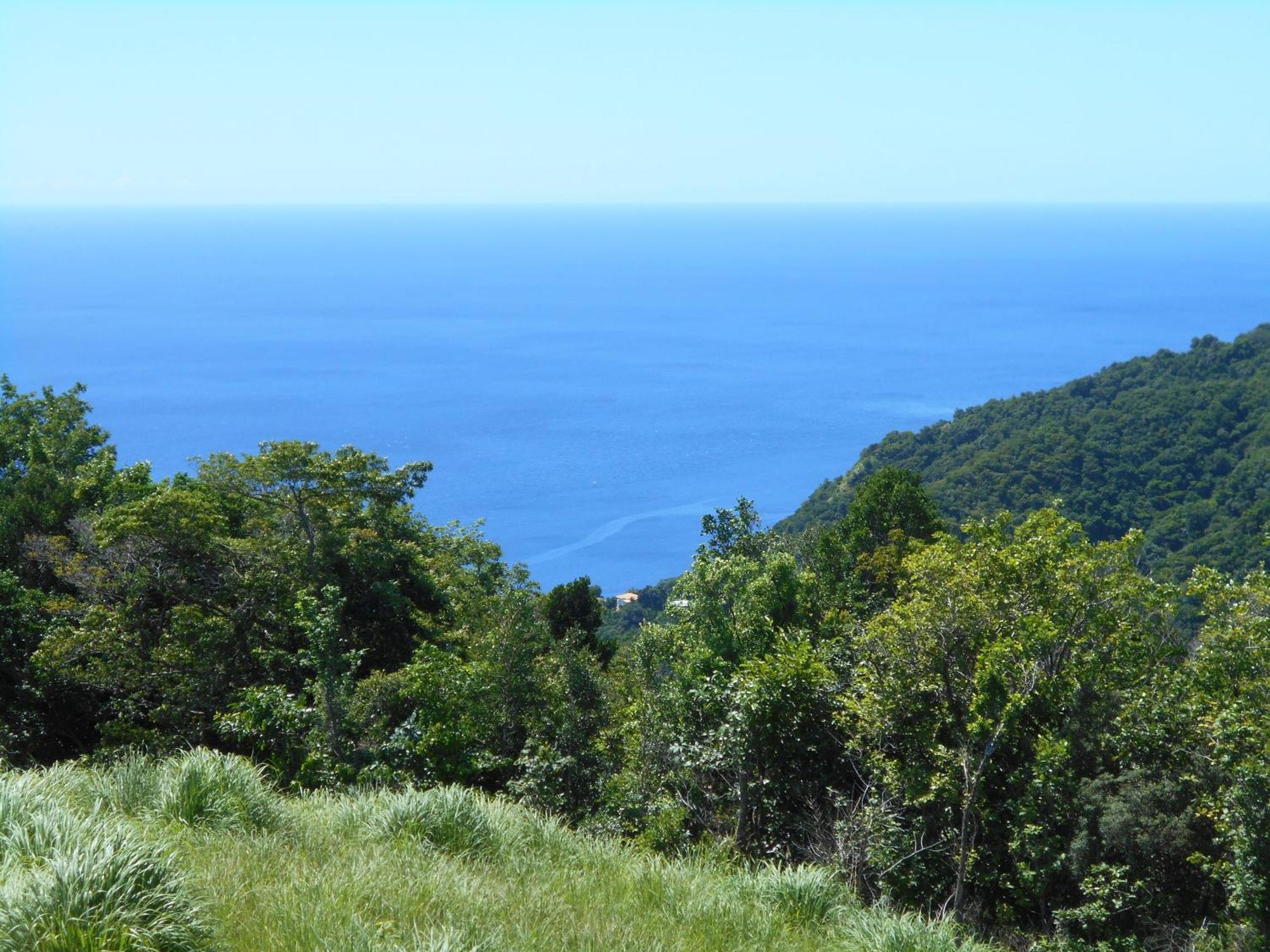 Diamond View Cottages Roseau Buitenkant foto
