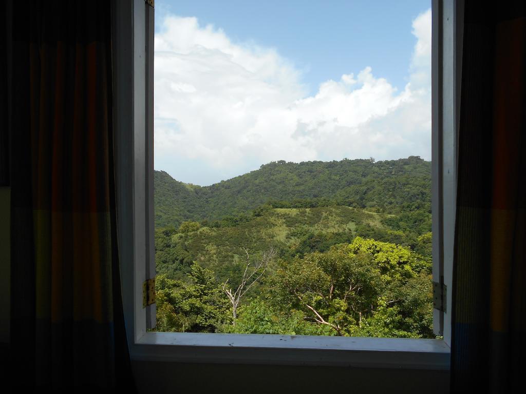 Diamond View Cottages Roseau Buitenkant foto