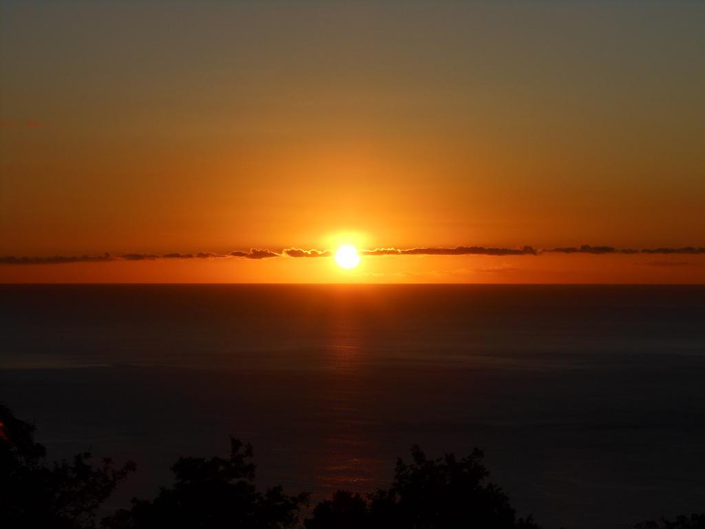 Diamond View Cottages Roseau Buitenkant foto