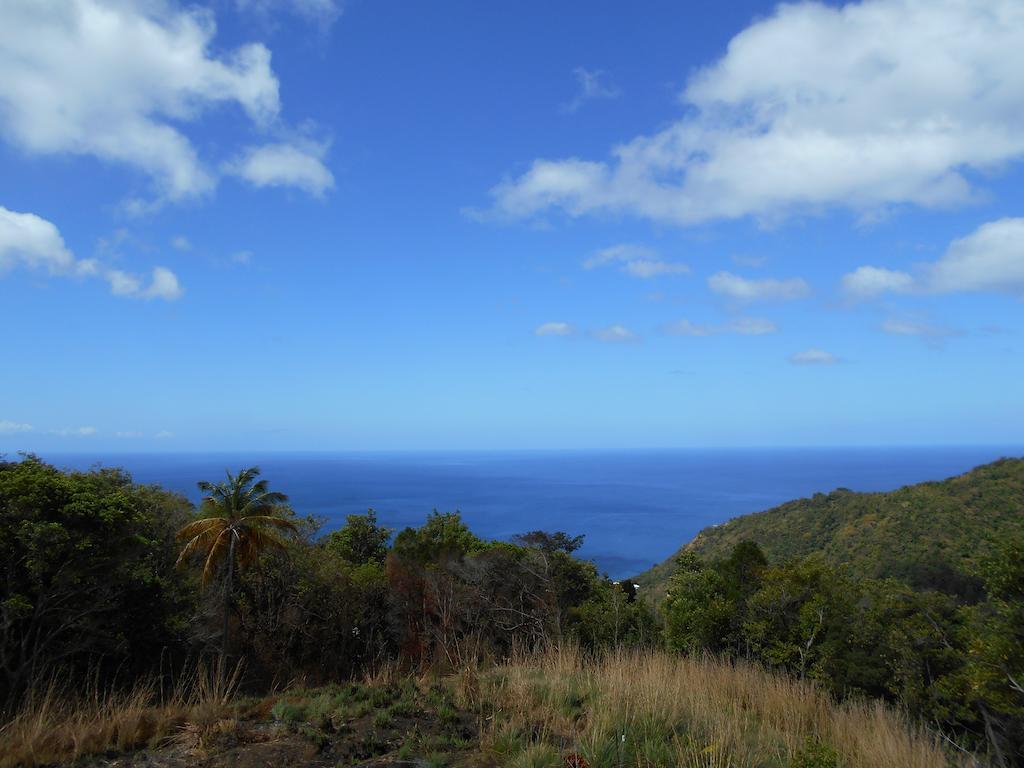 Diamond View Cottages Roseau Buitenkant foto