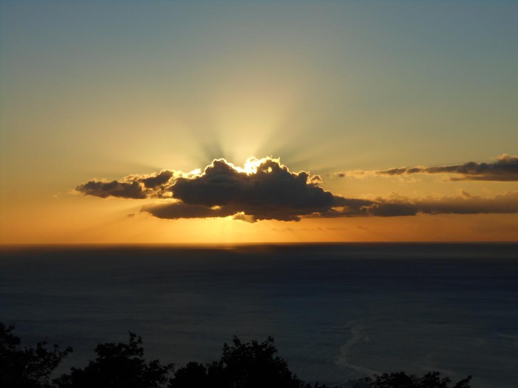 Diamond View Cottages Roseau Buitenkant foto